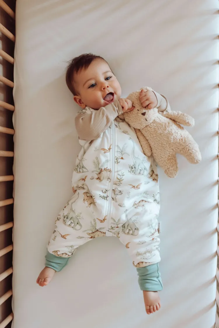 Śpiworek z nogawkami 1,5 tog Dinozaury